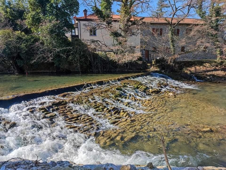 Bordon Wines, Estate With Accommodation Dekani Exterior foto
