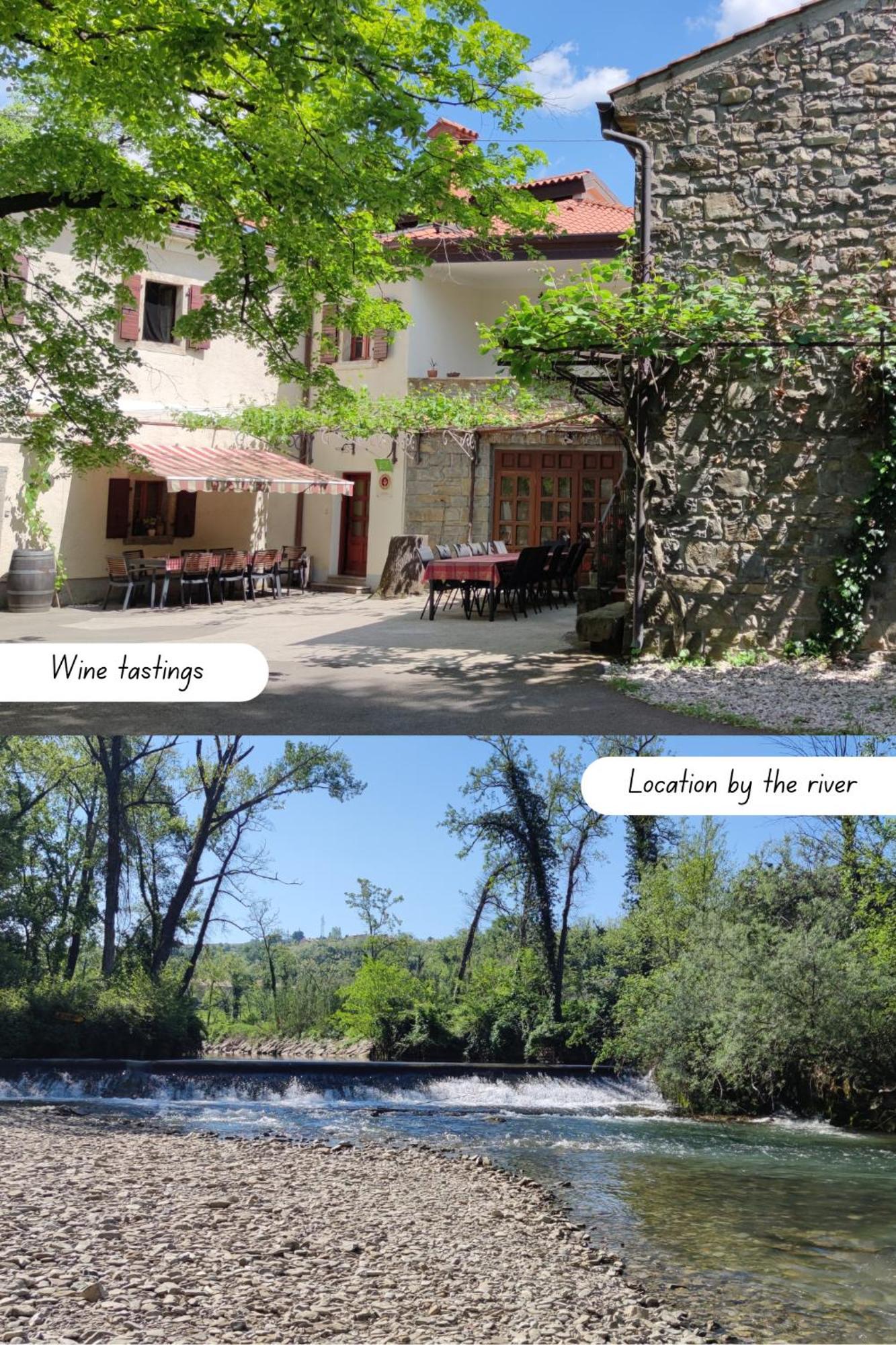 Bordon Wines, Estate With Accommodation Dekani Exterior foto