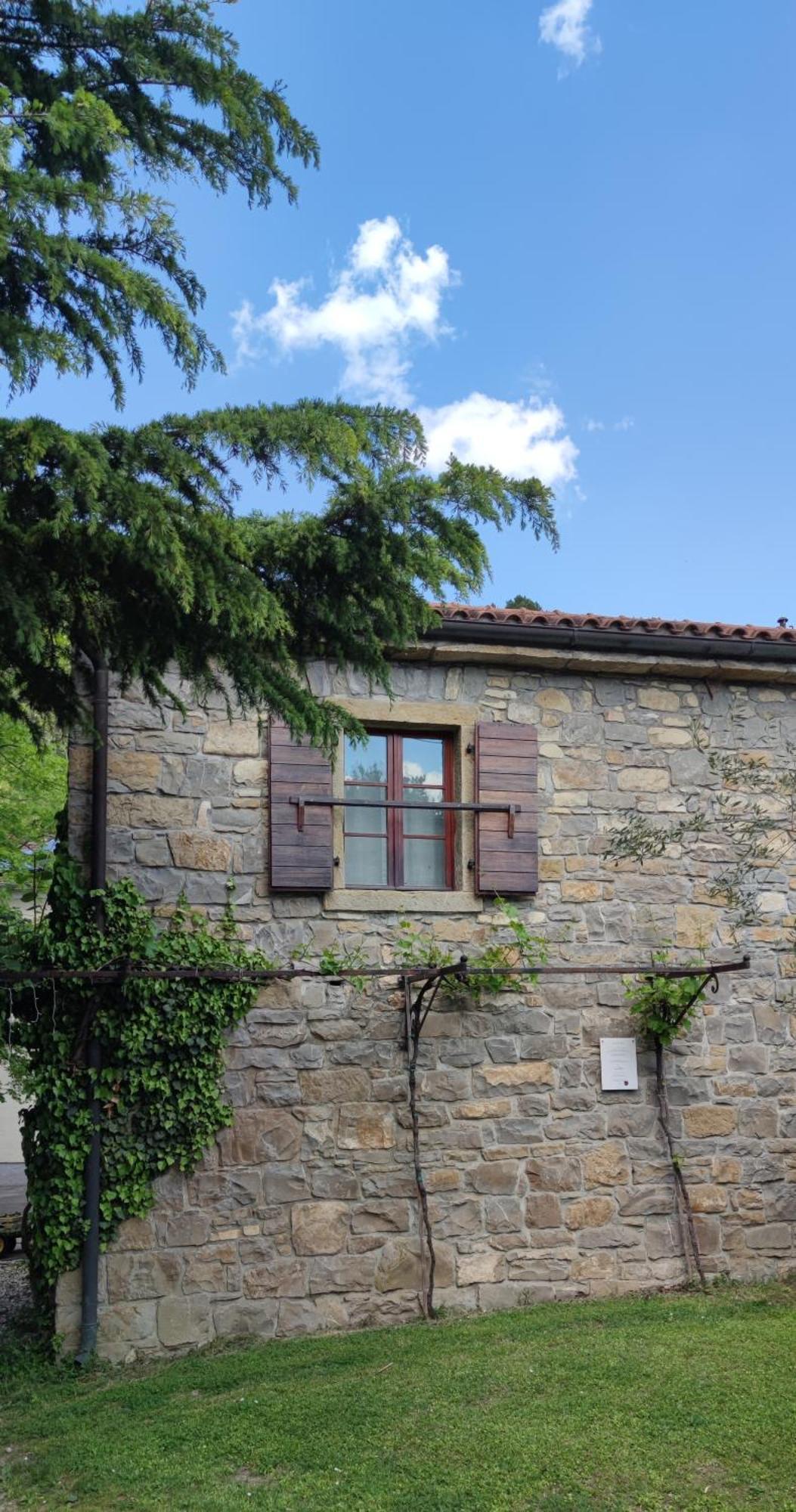 Bordon Wines, Estate With Accommodation Dekani Exterior foto