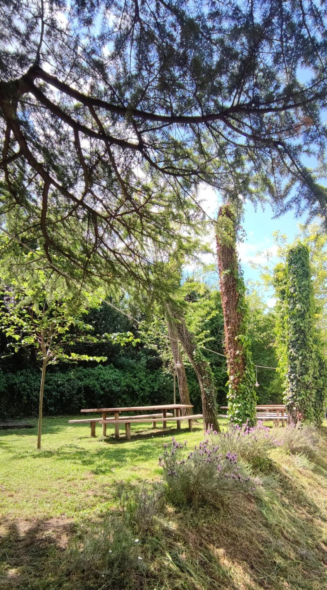 Bordon Wines, Estate With Accommodation Dekani Exterior foto